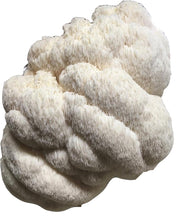 Load image into Gallery viewer, Lions Mane Mushroom Grow Kit FREE SHIPPING!
