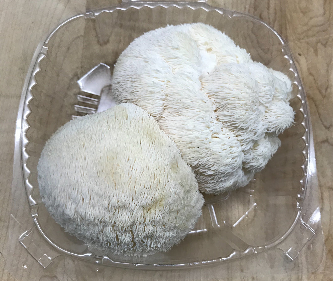 Lions Mane Mushrooms(4oz clamshell)